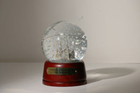 Cathedral Snow Globe